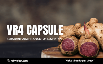 VR4 Capsule – Kebaikan Halia Hitam Untuk Kesihatan